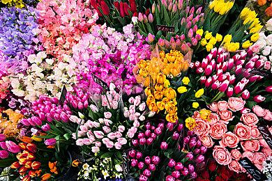 《海参2》MK23手枪介绍视频 6月21日推出